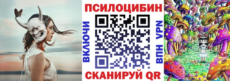 Купить где  Микунь  Псилоцибиновые грибы Magic Shrooms 